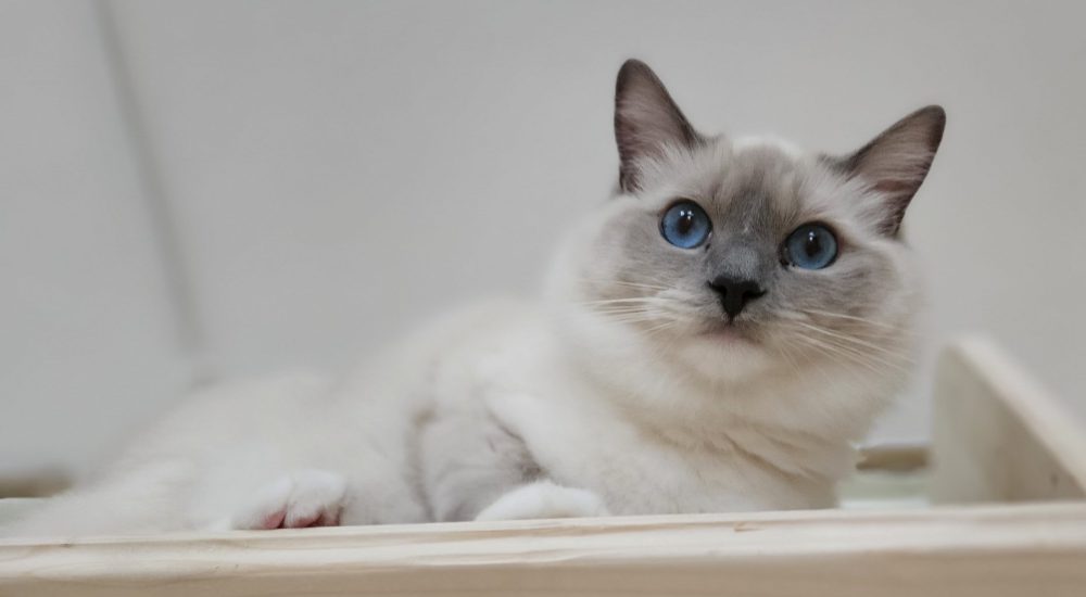 20240516_132359-1 20240516_132359-1